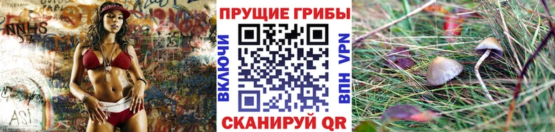 Купить  Усть-Лабинск  Псилоцибиновые грибы ЛСД 